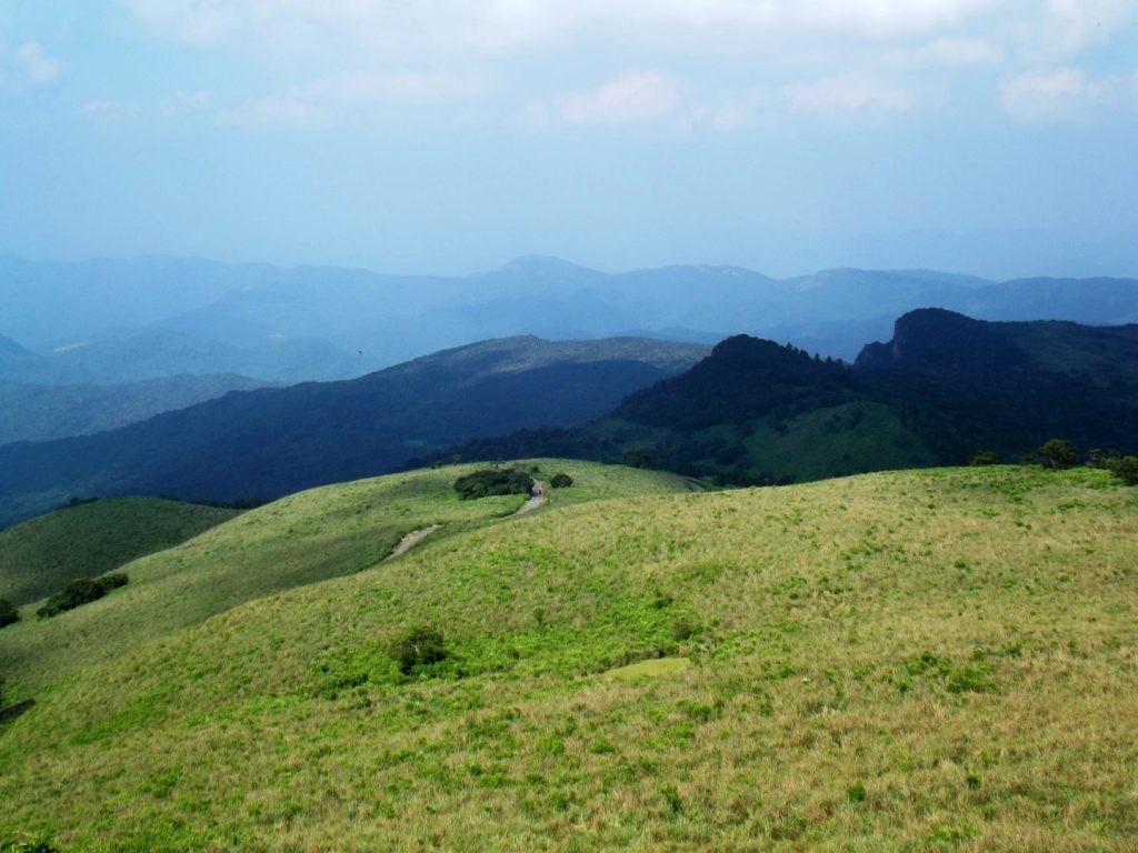 Jeep Safaris in Sri Lanka