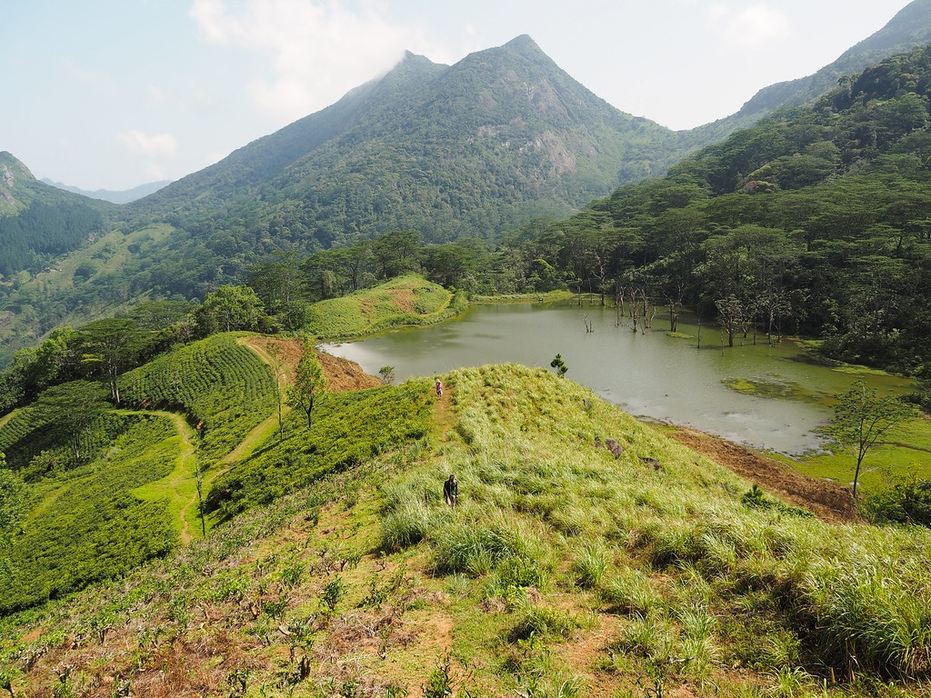 Jeep Safaris in Sri Lanka